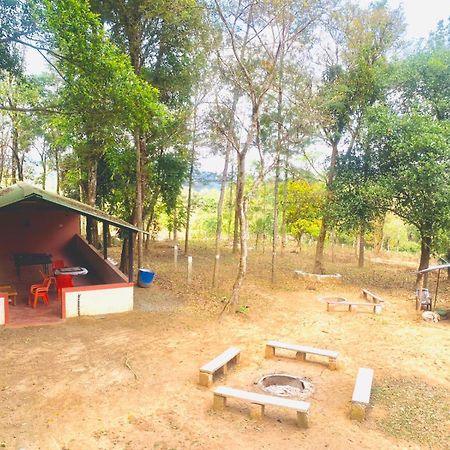 Shrenya Orchidz-Coorg Nature Stay Madikeri Ngoại thất bức ảnh
