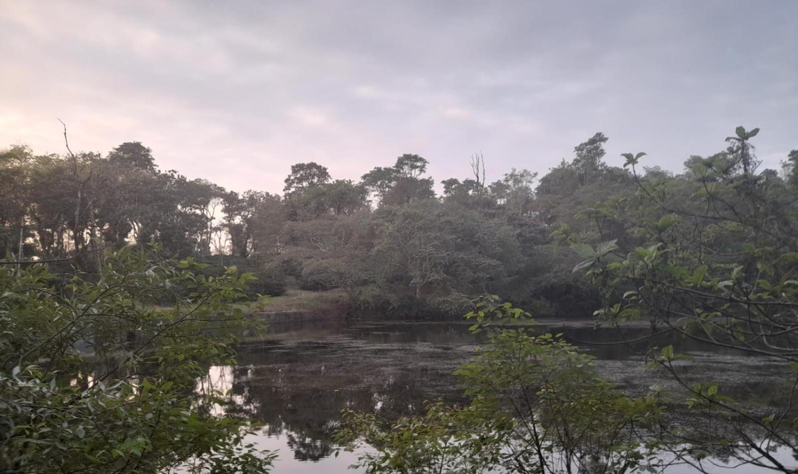 Shrenya Orchidz-Coorg Nature Stay Madikeri Ngoại thất bức ảnh