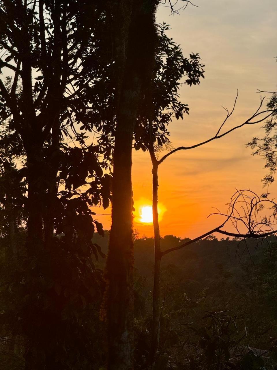Shrenya Orchidz-Coorg Nature Stay Madikeri Ngoại thất bức ảnh