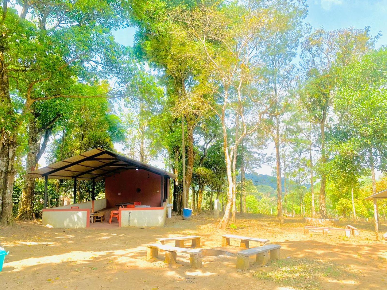 Shrenya Orchidz-Coorg Nature Stay Madikeri Ngoại thất bức ảnh